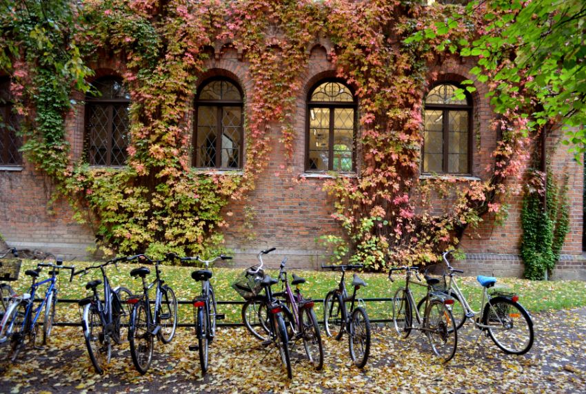 Wall with bycicles in the forground. Photo.