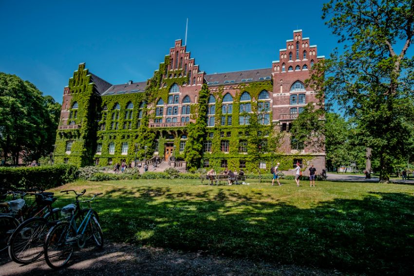 University Library. Photo.