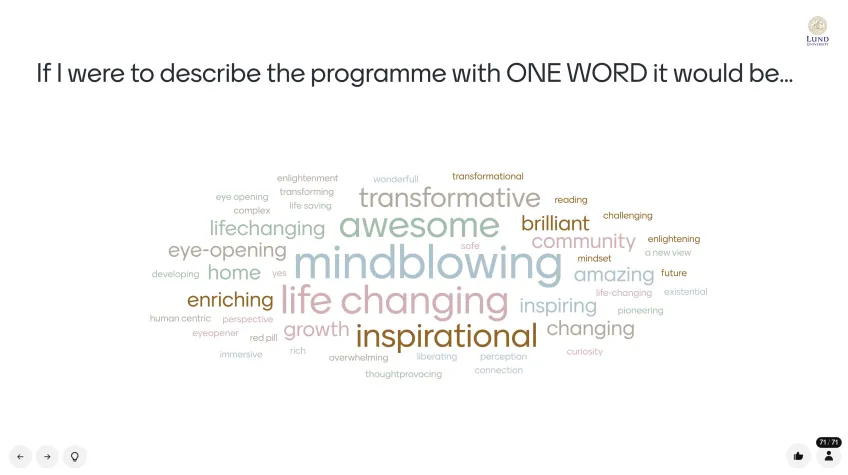 Describe the programme with one word wordcloud
